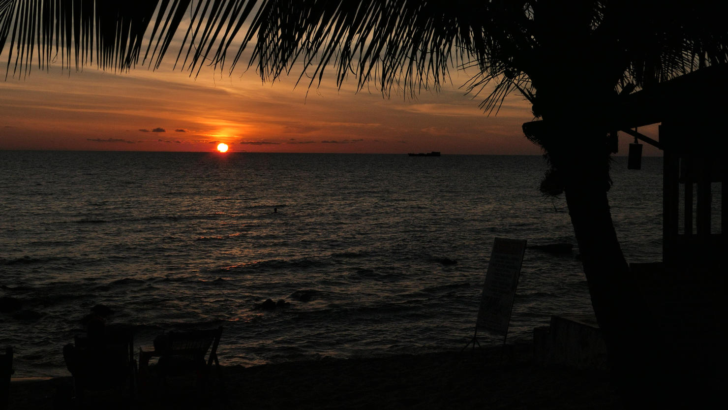 PhuQuocSunsetPalmTree2