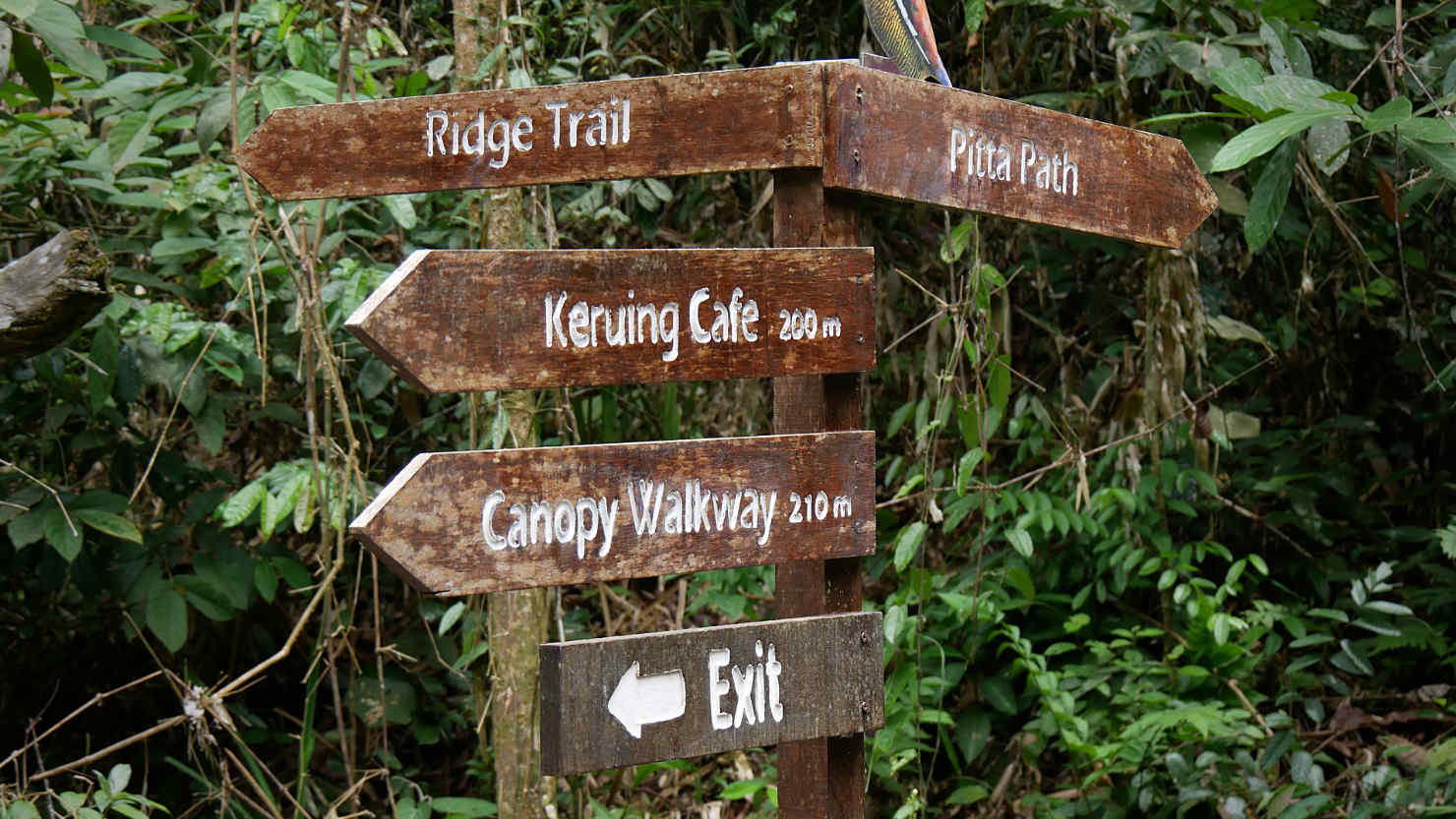 SepRDCTrailMarkerSign