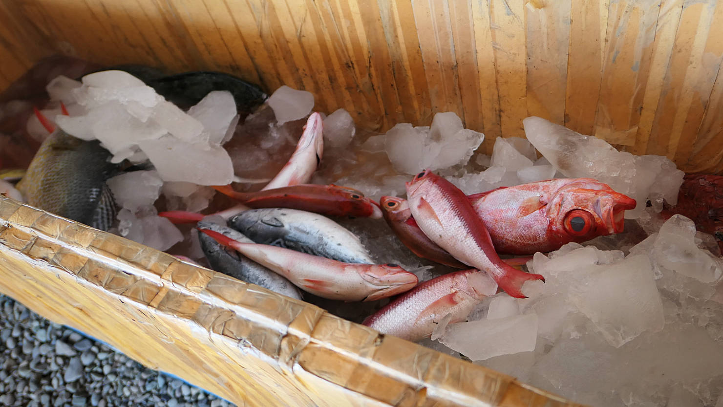 FloresRustenBeachRestaurantFishCooler