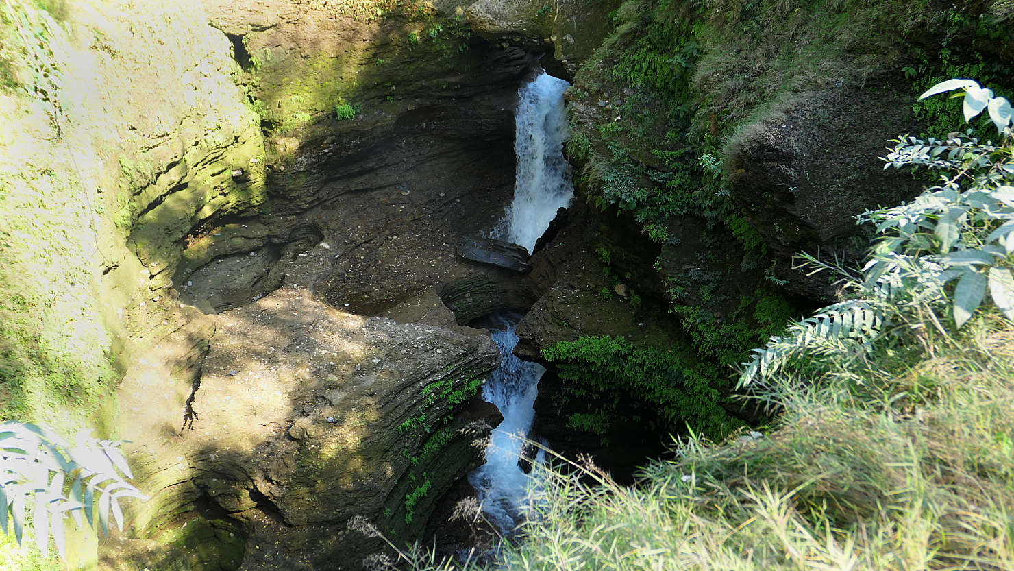 PokDavisFalls_3aHoriz1