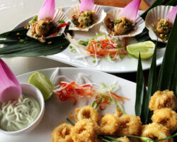 Fish Market Dinner. BBQ scallops and calamari with wasabi dipping sauce. Delicious! Kampot, Cambodia.