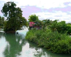 View downstream from bridge connecting Don Khone with Don Dhet. Don Khone, Laos.