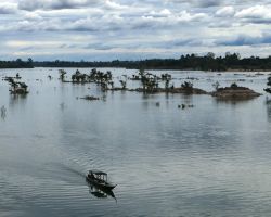 Boat arriving at the old french colonial port, Ban Hang Khone, at the Southeast part of the island. Don Khone, Laos.
