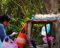 Women selling live birds at one of the temples. The birds are inside of the small handmade cages on the table. They are released at the temples as ceremonial offerings. Luang Prabang, Laos.