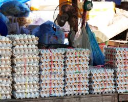Local market egg vendor. Pakse, Laos.