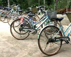 All the people who rode bikes to the "Pub with Cold Beer", 9 km from town 2 of which were very muddy. Note the mud on their tires. We were the only ones who rented mtn bikes and glad we did. Phong Nha, Vietnam.