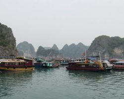 Port of departure for our Ha Long Bay boat cruise. Cat Ba Island, Vietnam.
