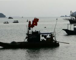 Silhouette local fishing boats. Cat Ba Island, Vietnam.