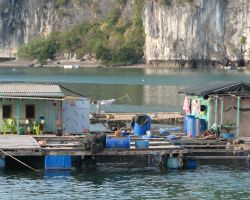 Ha Long Bay fishing village. Cat Ba Island, Vietnam.
