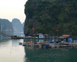 Ha Long Bay fishing village. Cat Ba Island, Vietnam.