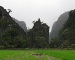 Typical view in Tam Coc. There were rice paddies with beautiful limestone karsts all around. Tam Coc, Vietnam.