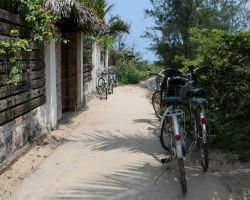 One of the many paths leading to the beach. Hoi An, Vietnam.