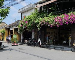 Typical street in the historic district. Very clean and lined with blooming flowers and lots of old, interesting buildings. Hoi An, Vietnam.