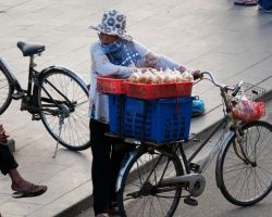 Bicycle vendor selling some kind of local food. Hoi An, Vietnam.