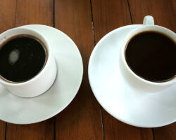 Fresh cups of Robusta and Arabica Kopi Luwak coffee. Yogyakarta, Indonesia (Java).