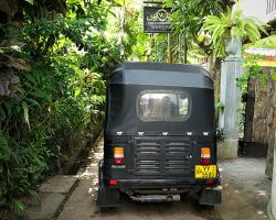 Another view of our Tuk Tuk ride from Galle to Unawatuna. Notice the width of the side street. It's barely wide enough for our Tuk Tuk. Unawatuna, Sri Lanka.