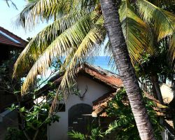 View from our room at Rathna Guesthouse. We were only a few feet off the beach. Dalawella, Sri Lanka.