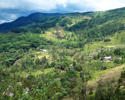 Our Elkaduwa hike. You an see a small village in the distance. Elkaduwa, Sri Lanka.
