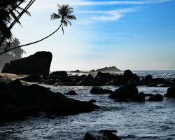 Dalawella beach at sunrise. Dalawella, Sri Lanka.