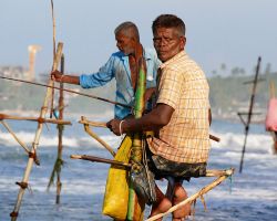 Dalawella beach stilt fisherman. Dalawella, Sri Lanka.