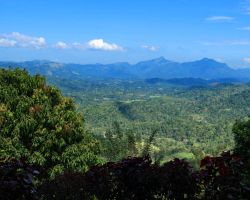 View from our room at the Elkaduwa guesthouse. Unfortunately, the view was the only nice thing about the accommodation. Elkaduwa, Sri Lanka.