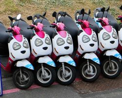 Row of parked "little kitty" rental scooters in Kenting. Southern Area, Taiwan.