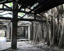 Anping Tree House in Tainan. Southern Area, Taiwan.