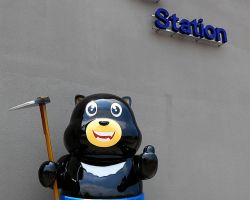 Yuli Train Station black bear. East Coast, Taiwan.