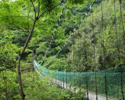 Bridge along the Walami trail in Yuli. East Coast, Taiwan.