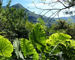 View from the Walami trail in Yuli. East Coast, Taiwan.