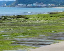 Laomei Green Reef Furrows. Northern Area, Taiwan