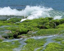 Laomei Green Reef Furrows. Northern Area, Taiwan