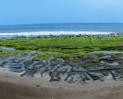 Panorama of Rick and the Laomei Green Reef Furrows. Northern Area, Taiwan