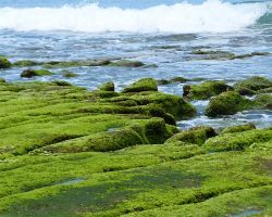 Laomei Green Reef Furrows. Northern Area, Taiwan