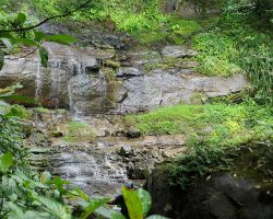 Pipa Dong Falls, the third waterfall of the day. Northern Area, Taiwan.