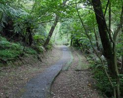 The top of Sandiaoling trail connected to this ridgeline spur trail. From here, we hiked for several more hours to the Dahua train station. Northern Area, Taiwan.
